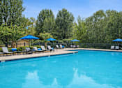 Thumbnail 5 of 15 - A large swimming pool surrounded by trees and lounge chairs.