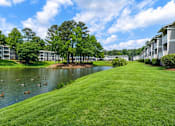 Thumbnail 2 of 19 - A lake with ducks swimming in front of apartment buildings.