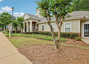Thumbnail 17 of 20 - A tree in front of a house.