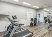 Thumbnail 26 of 34 - the gym with treadmills and ellipticals at the preserve at great neck apartments
