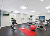 Thumbnail 10 of 17 - A gym with a red mat, a red ball, and a red yoga mat.