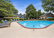 Thumbnail 1 of 8 - A swimming pool surrounded by lounge chairs and trees.