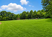 Thumbnail 2 of 16 - A grassy field with a wooden structure and benches in the distance.