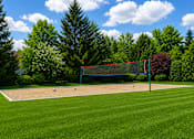 Thumbnail 7 of 16 - A tennis court surrounded by trees and a blue sky.