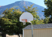 Thumbnail 9 of 13 - a basketball hoop with a mountain in the background