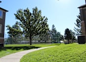 Thumbnail 13 of 16 - a sidewalk leading to a park with a tree and a chain link fence