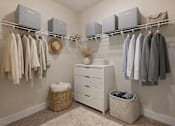 Thumbnail 25 of 27 - Closet at Momentum at First Creek, Denver, 80249