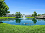 Thumbnail 4 of 31 - A fountain in the middle of a lake with ducks swimming around it. at Waterbridge Apartments , Florida, 32837