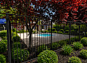 Thumbnail 5 of 28 - A pool surrounded by a black fence and red leaves.