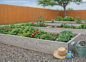 Thumbnail 12 of 24 - A garden with a wooden box, a straw hat, a blue glove, and a green watering can.