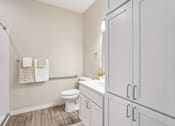 Thumbnail 36 of 41 - Bathroom with gray cabinetry and woodstyle flooring at The Hendrickson Apartments, Falcon Heights, Minnesota