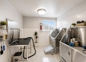 Thumbnail 12 of 26 - Pet grooming with stainless steel tubs at Park Station Apartments, Utah, 84047