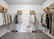 Thumbnail 17 of 17 - A white bench with a plant on it sits in the middle of a room with clothes hanging on racks on both sides.