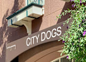Thumbnail 36 of 40 - A storefront with a sign that says City Dogs.
