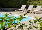 Thumbnail 10 of 40 - A pool surrounded by chairs and greenery.