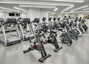 Thumbnail 23 of 40 - A gym with treadmills and stationary bikes.