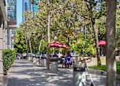 Thumbnail 39 of 40 - A tree-lined sidewalk with people sitting at tables under umbrellas.