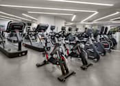 Thumbnail 43 of 95 - A row of stationary bikes are lined up in a gym.