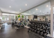 Thumbnail 16 of 20 - Fitness Center Access at The Village Apartments, North Carolina, 27615