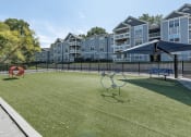 Thumbnail 14 of 20 - Dog Park with Agility Course at The Village Apartments, Raleigh, NC