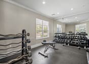 Thumbnail 35 of 42 - A well-lit home gym with a variety of equipment at The Grand Reserve at Tampa Palms Apartments, Florida, 33647