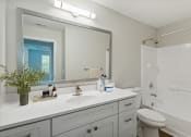 Thumbnail 12 of 27 - a bathroom with a large mirror at The Bluestone Apartments, South Carolina, 29910