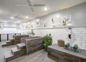 Thumbnail 33 of 38 - Grooming Salon at Central Island Square, South Carolina