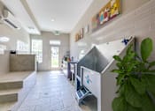 Thumbnail 19 of 27 - Dog spa at The Flats at Ballantyne Apartments, Charlotte, NC