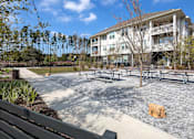 Thumbnail 18 of 25 - Benches in open area at Elevate at Brighton Park, Summerville