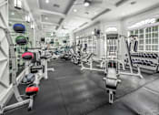 Thumbnail 16 of 22 - a gym at Henley Tampa Palms Apartments, Florida