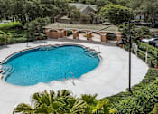 Thumbnail 14 of 22 - Pool at Henley Tampa Palms Apartments, Florida, 33647