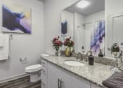 Thumbnail 6 of 30 - Bathroom with granite counters and large mirror at Sycamore at Tyvola, Charlotte, NC