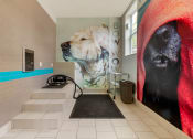 Thumbnail 16 of 21 - pet spa with steps and dryer at 1010 Dilworth Apartments, Charlotte, NC 28204