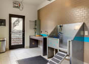 Thumbnail 17 of 21 - Pet spa with washing tub and exit door at 1010 Dilworth Apartments, Charlotte North Carolina