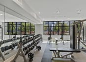 Thumbnail 16 of 38 - a gym with a row of weights machines and a large window at Central Island Square, Daniel Island, SC