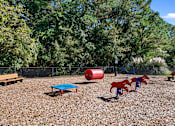 Thumbnail 26 of 33 - a dog park with a agility equipment at Sweetgrass Landing, Mount Pleasant, 29466