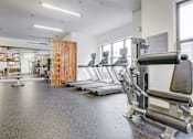 Thumbnail 11 of 16 - A gym with a variety of equipment including treadmills and weights at The Linden Apartments, Davidson, NC, 28036