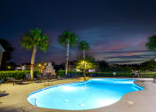 Thumbnail 8 of 36 - the swimming pool at night at the resort at night