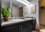 Thumbnail 84 of 91 - A bathroom with a sink, mirror, and a potted plant.