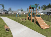 Thumbnail 20 of 50 - two dogs playing in a park near a playground
