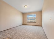 Thumbnail 3 of 64 - A room with a carpeted floor and a window.