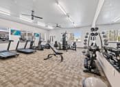 Thumbnail 13 of 20 - Modern gym with rows of cardio equipment.