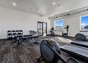 Thumbnail 36 of 44 - A gym with a row of dumbbells, a bench, and a treadmill.