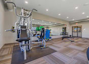 Thumbnail 47 of 59 - A gym with a variety of equipment including a leg press machine.