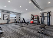 Thumbnail 45 of 58 - A gym with a variety of equipment including a bench, weights, and a squat rack.