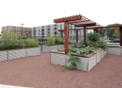 Thumbnail 13 of 81 - Community garden space