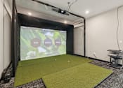 Thumbnail 15 of 21 - A projection screen in a room with a green carpet.