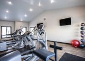 Thumbnail 18 of 38 - Fitness