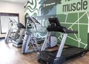 Thumbnail 20 of 38 - Fitness
