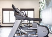 Thumbnail 23 of 38 - Fitness